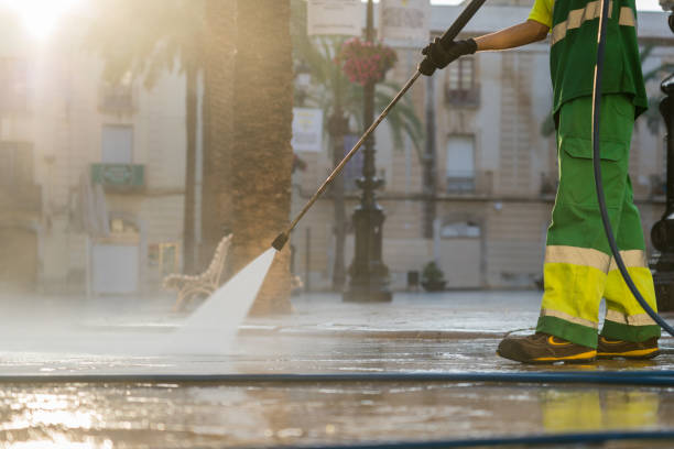 Best Sidewalk and Walkway Cleaning  in Hatch, NM